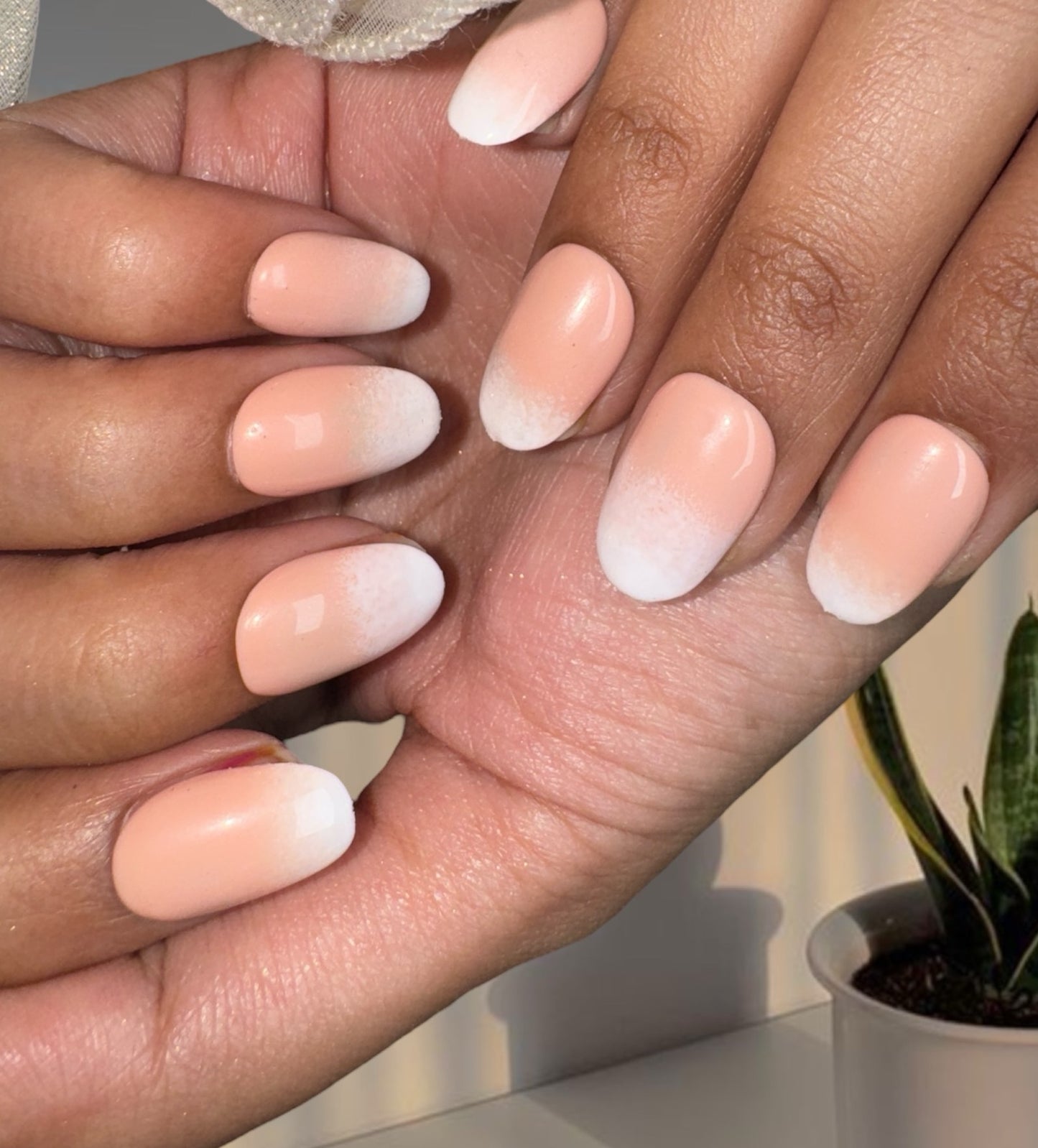 Peach Whisper Ombré